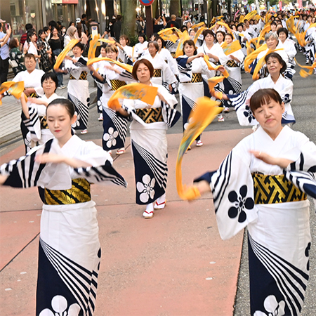 動 百万石踊り流し